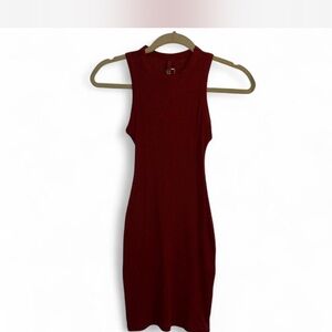 SKIMS Burgundy Mini Dress